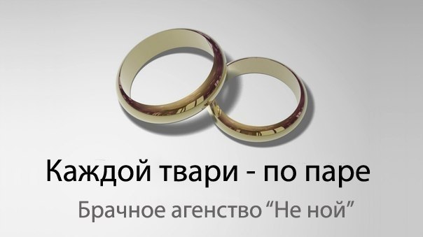 брачные агентства