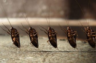 международные сайты знакомств